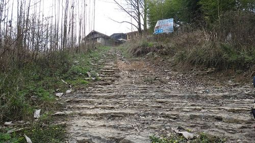 江油吴家后山