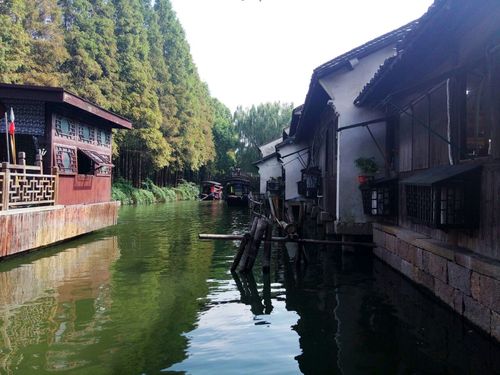 2019东栅_旅游攻略_门票_地址_游记点评,乌镇旅游景点