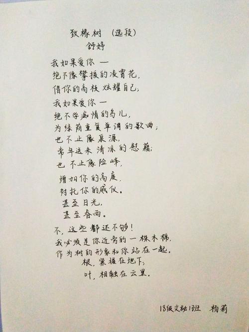 人文学院第二届师范生职业素养大赛书法作品展 写美篇 楷书 《致橡树