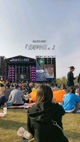 新龙生态林音乐节_音乐节_新龙国家生态森林公园自由行热门攻略_森林