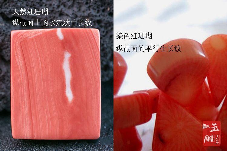 真假红珊瑚鉴别图,让你轻松学会辨真假