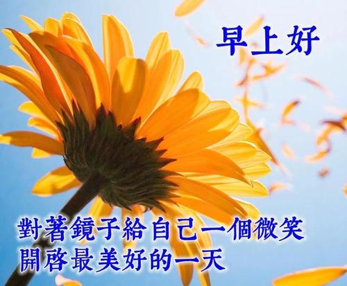 2020五月初四很漂亮的早上好图片,阳光心态早安句子