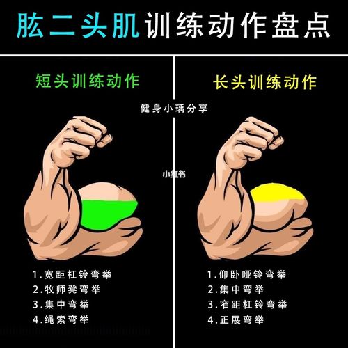 肱二头肌训练动作盘点_杠铃_健身_哑铃_运动健身_健身