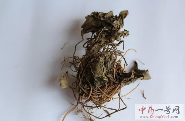 杜衡_功效与作用_杜衡的禁忌-中药一号网