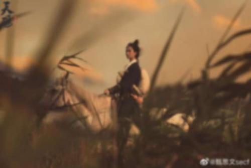 不恨天涯行役苦,只恨西风,吹梦成今古