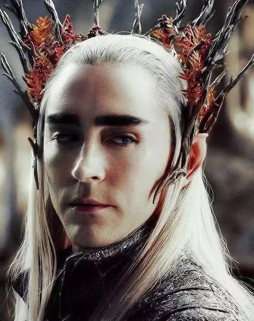 2011年开始在《霍比特人》三部曲中演精灵王瑟兰迪尔.