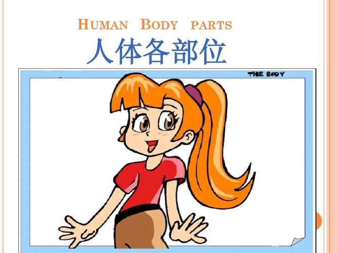 文档下载 所有分类 外语学习 英语学习 > human body parts 人体各