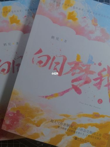 栖见白日梦我实体书