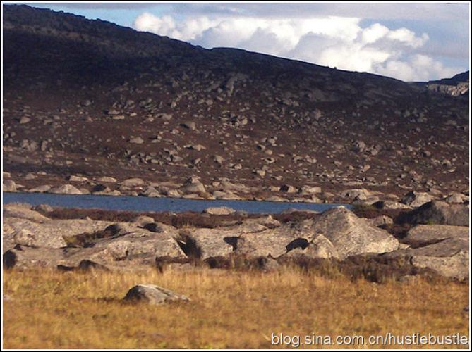 震撼:恐怖的香格里拉无人区