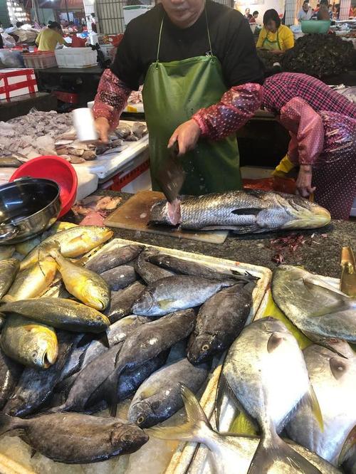 早上去买鱼老板说那鱼叫鲤鱼