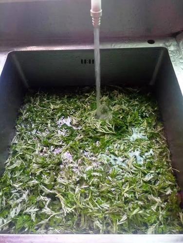 客家阿香妹手工制作艾粄全程,保证你看到口水直流
