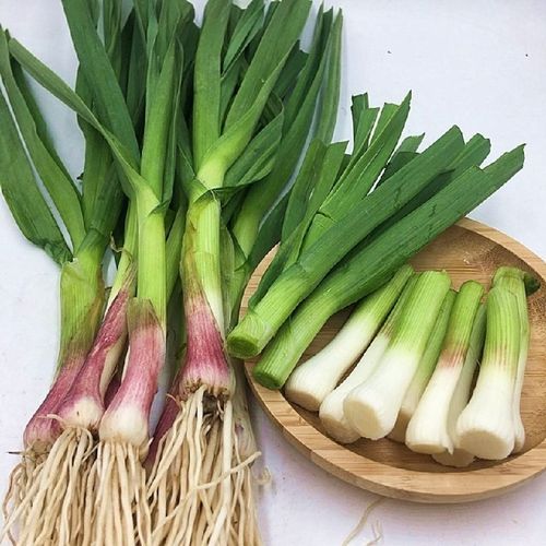 红皮蒜苗新鲜农家自种新鲜蔬菜5斤装整箱包邮紫皮嫩青