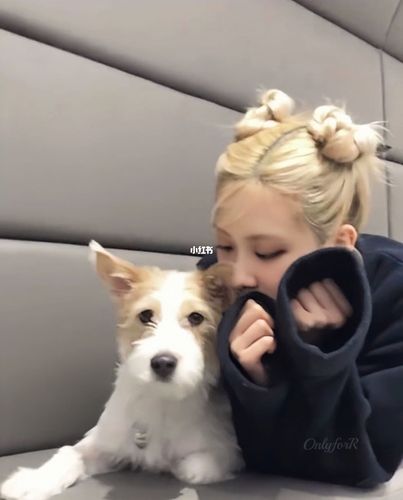 rosé 和 hank_rose朴彩英_头像_rosé_素材_头像