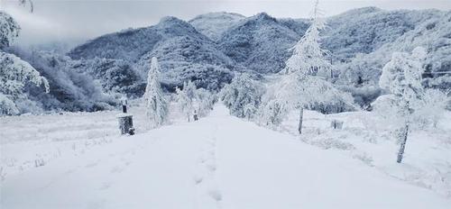 重庆城口黄安坝景区一景.(黄安坝景区 供图)