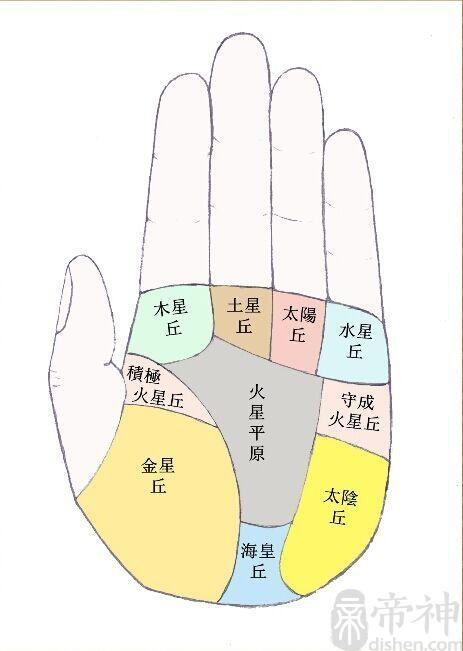 手相金星丘在哪,金星丘代表什么意思