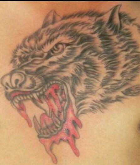 嗜血狼纹身的图片头像