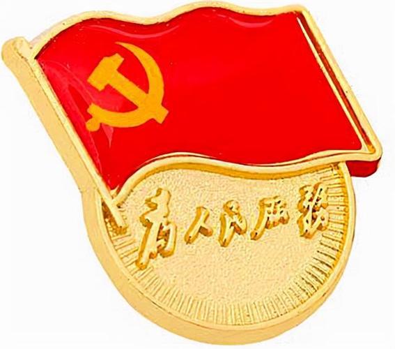 让党徽闪耀在康宁医院一线深圳市康宁医院党建工作系列报道之二百六十