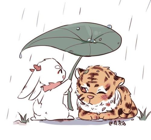 老虎和兔子的爱情!