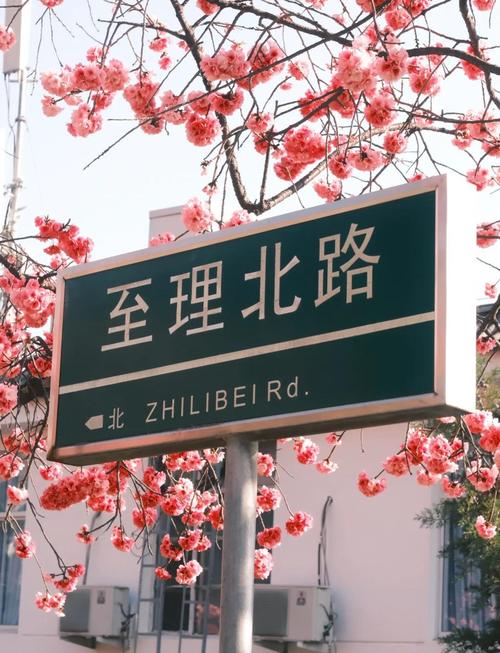 大理两天游玩攻略:日出,美食,美景全指南