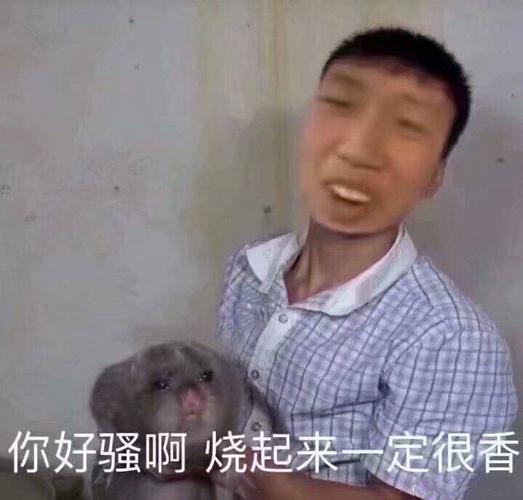 你好骚啊,烧起来一定很香(王境泽 竹鼠表情包)