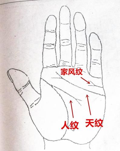 手相中有凤尾纹必定离婚!