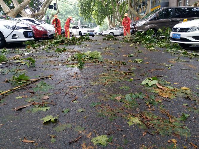 2018年8月18日,赛虹桥项目部用图片记录下上午半天对昨天大风大雨留下
