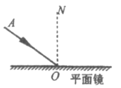 初中物理试题 在图中画出物体a所受重力示意图.