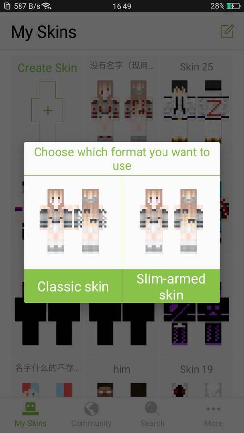 (我的世界skinseed)为什么我导入皮肤后背有一部分是空的