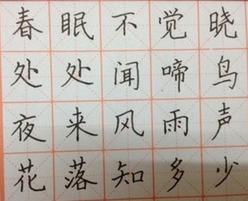 春晓硬笔书法
