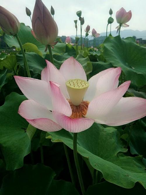 周末愉快的时光