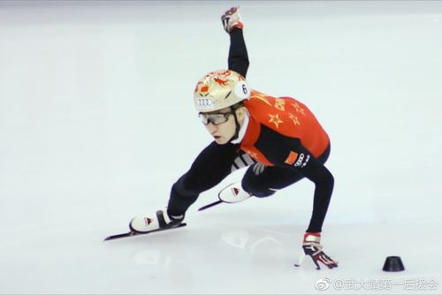 武大靖 