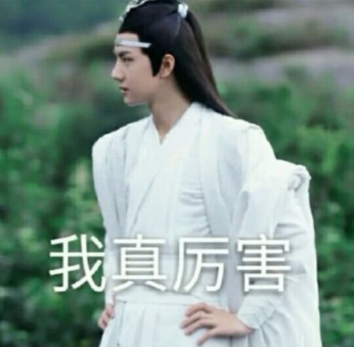 陈情令表情包:蓝忘机双手叉腰,认为自己非常的厉害!