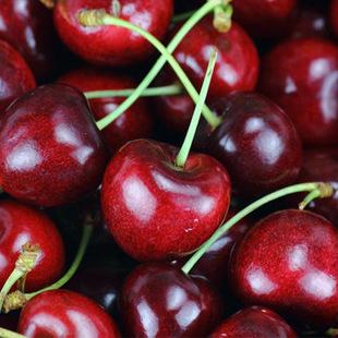 水果车厘子图片