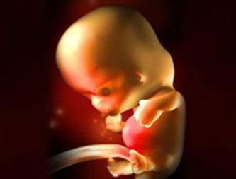 【怀孕8周】怀孕八周胎儿图,怀孕8周反应及胎儿发育情况