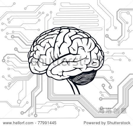 大脑细胞的简笔画