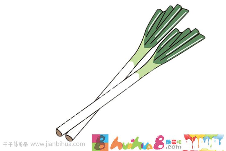 简单的大葱简笔画图片大全怎么画简笔画教程_绘画吧