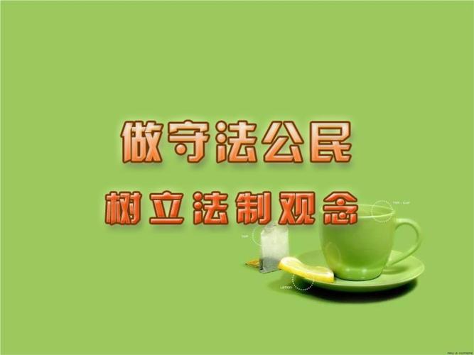 苏教版思品九年《做守法公民》(第2框)ppt课件.ppt