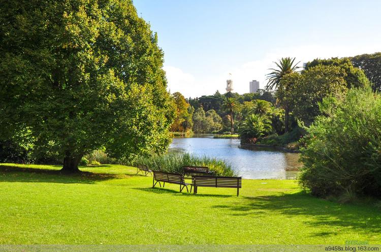 澳大利亚悉尼皇家植物园