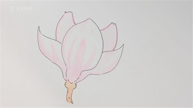 玉兰花简笔画