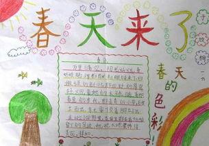 关于春分节气的手抄报 关于春天的手抄报