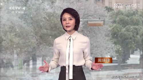 原创央视身材最娇小的女主持人周瑛锋电视宽屏时代反而对她的发展有利