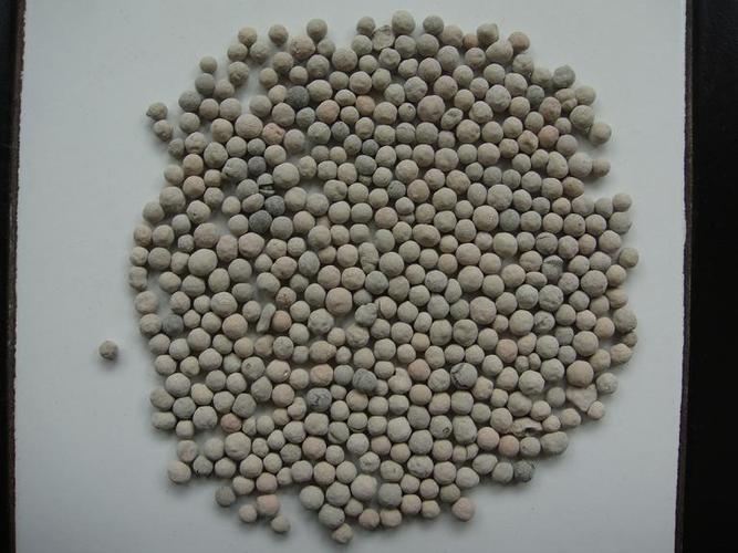 天津哪有供应价格合理的天津陶粒滤料,建筑陶粒