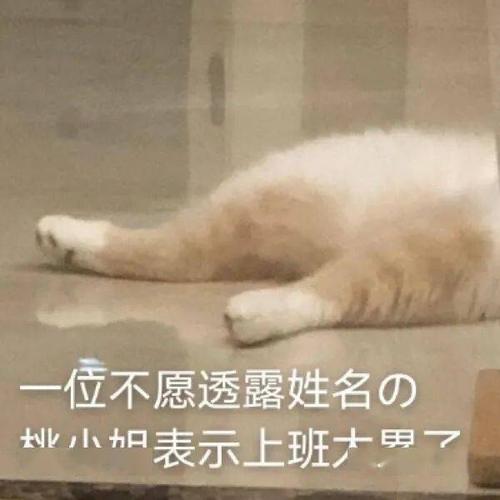 你的表情包库该更新啦!