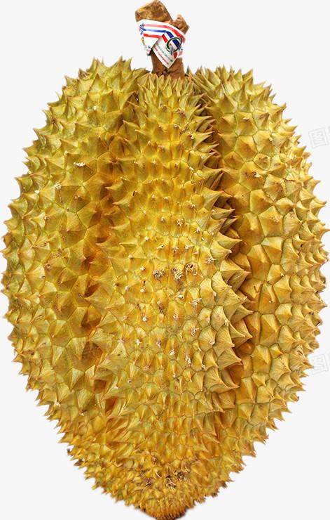 猫山王榴莲