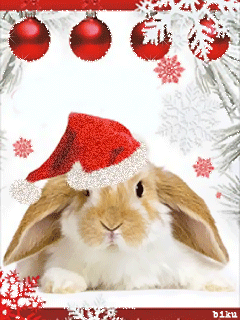 2011兔年小白兔动态壁纸