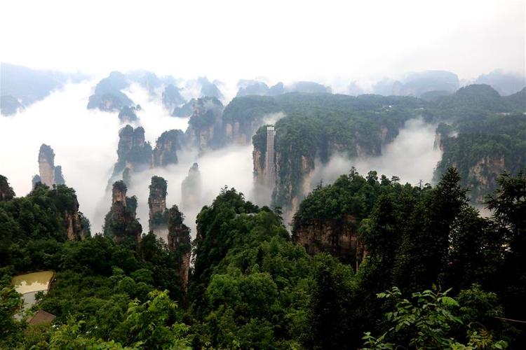 这是5月25日拍摄的湖南张家界武陵源风景区天子山.