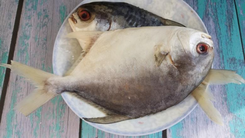 美味红烧燕鱼 - 美味红烧燕鱼做法,功效,食材 - 网上厨房