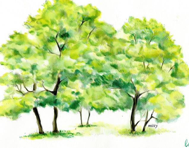 水彩大树~~记得还是刚刚画水彩时候的作品