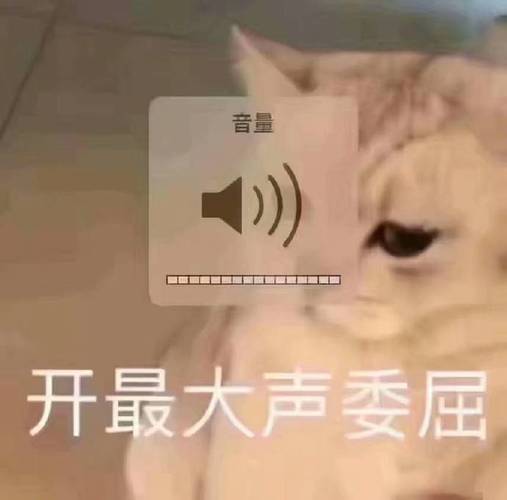 音量开最大声委屈音量委屈大声表情