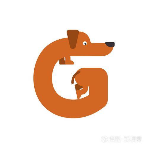 字母g 是狗.宠物的字体.腊肠犬字母表.刻字回家